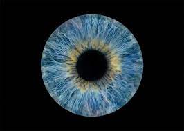 iris foto