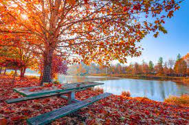 herfst foto