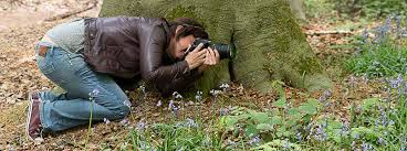 cursus natuurfotografie